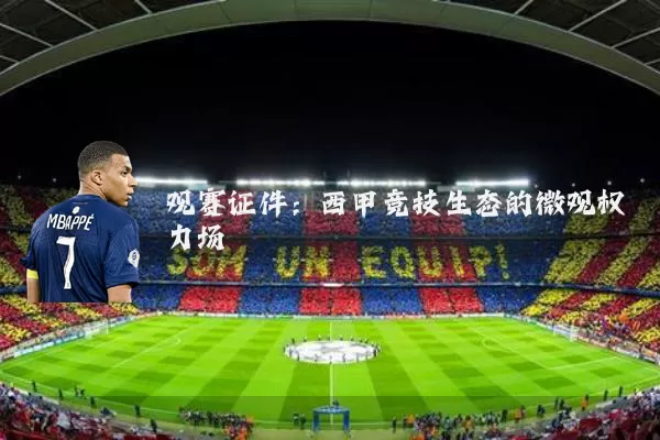 观赛证件：西甲竞技生态的微观权力场